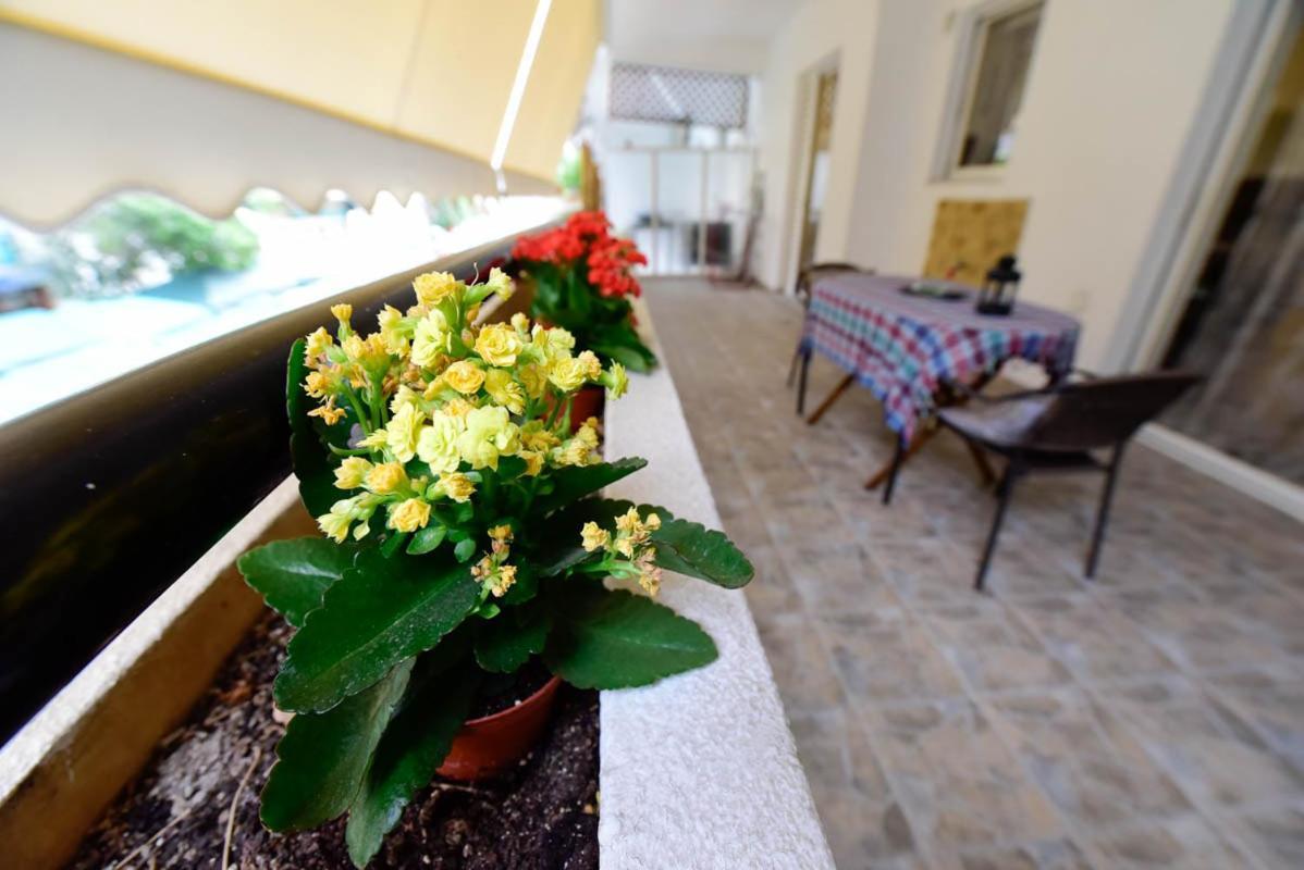Athens Beauty 5 Minutes From Attractions Apartment Exterior photo